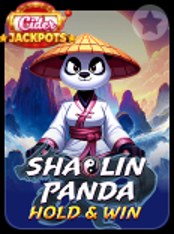 Shaolin Panda at Cider