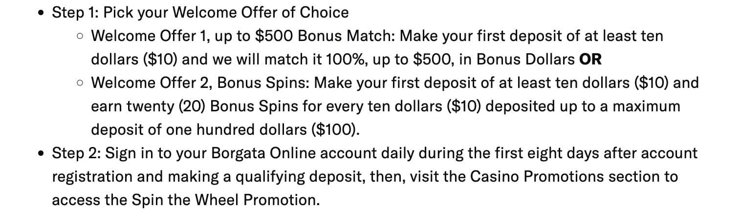 Bonus terms and conditions reviews.  icon