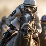 The NTRA is urging a change to the gambling loss deduction law.