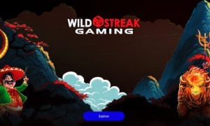 Wild Streak gaming slots