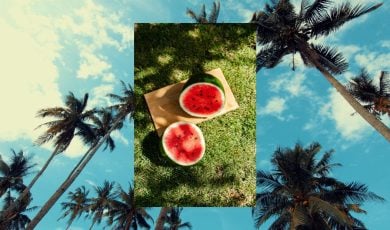 Cut Open Watermelon Sits on Green Grass Over Palm Trees Under Blue Skies