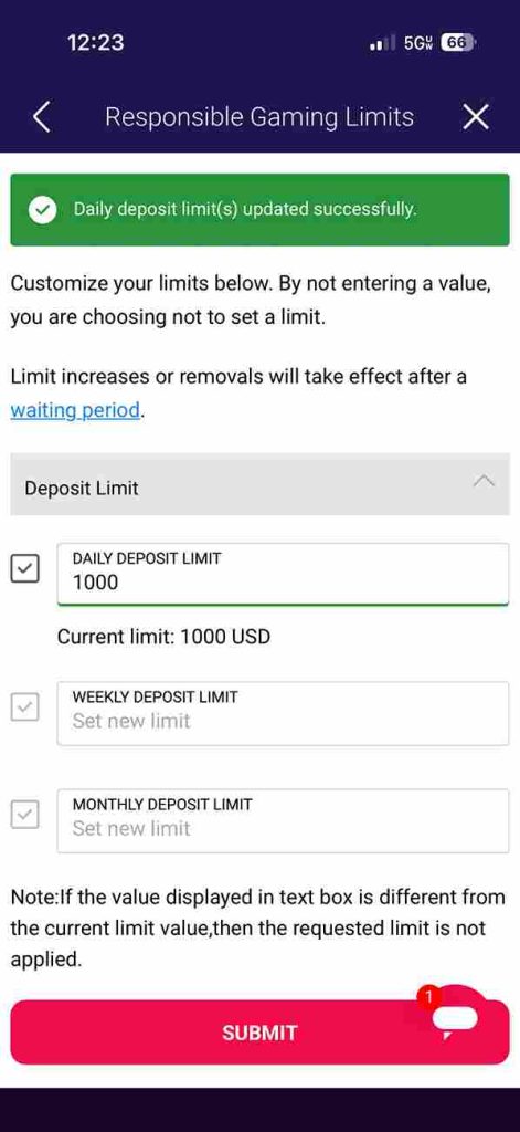 Party Casino RG limits confirm