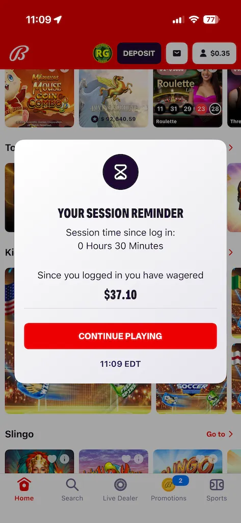 bally bet responsible gambling