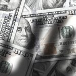 A former West Virginia veterinary clinic manager pleaded guilty after embezzling $624,000 and saying the money was lost to online gambling.