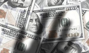 A former West Virginia veterinary clinic manager pleaded guilty after embezzling $624,000 and saying the money was lost to online gambling.