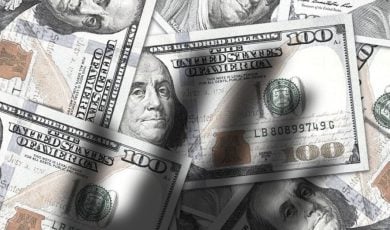A former West Virginia veterinary clinic manager pleaded guilty after embezzling $624,000 and saying the money was lost to online gambling.